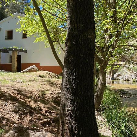 Casa Rural Molino Jaraiz Yeste Extérieur photo