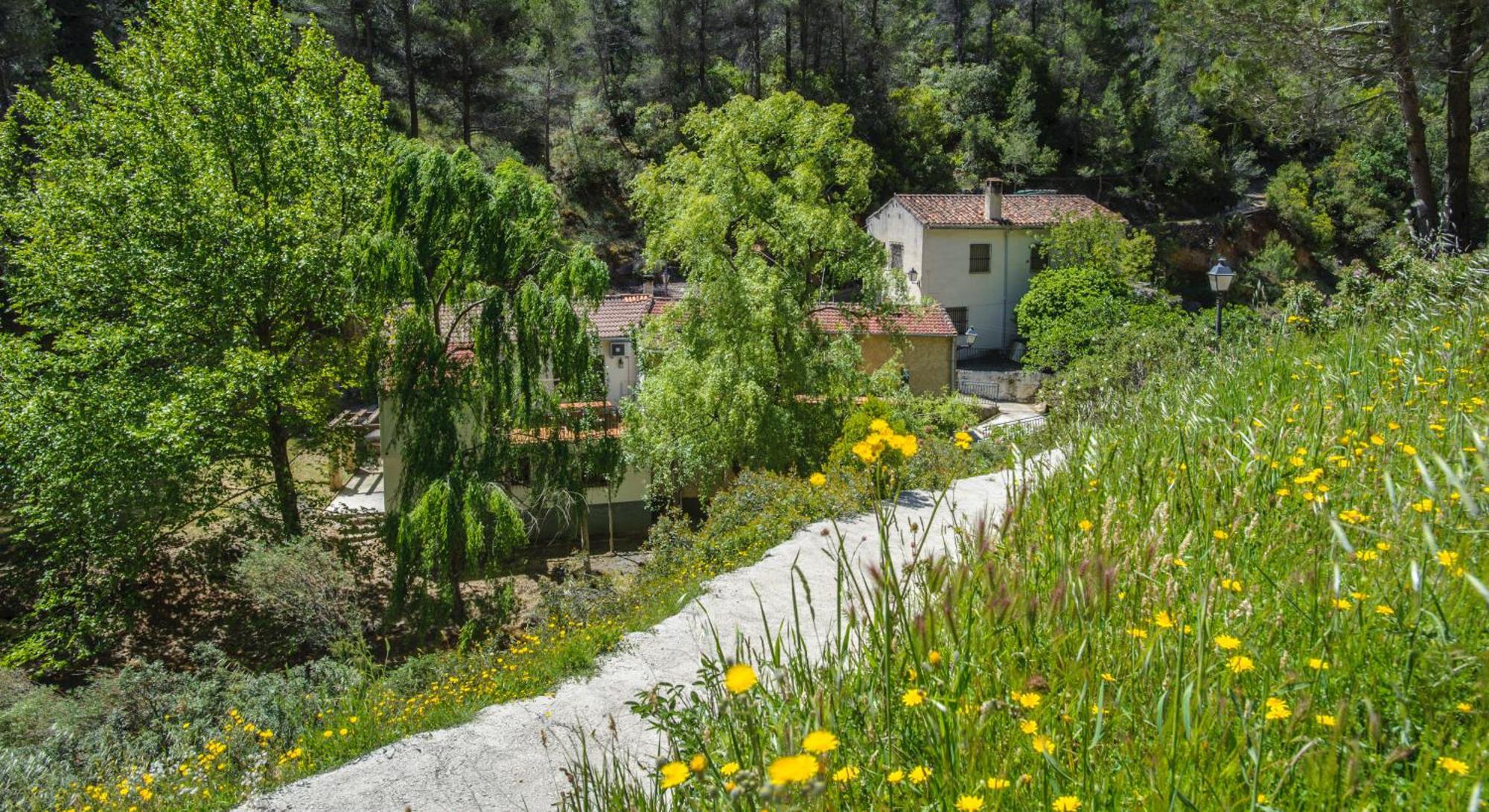 Casa Rural Molino Jaraiz Yeste Extérieur photo