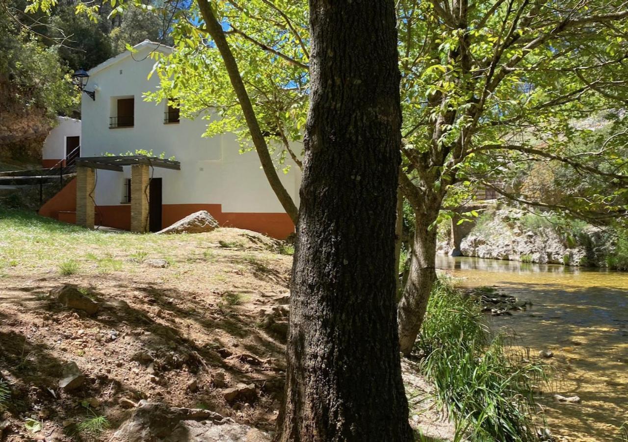 Casa Rural Molino Jaraiz Yeste Extérieur photo